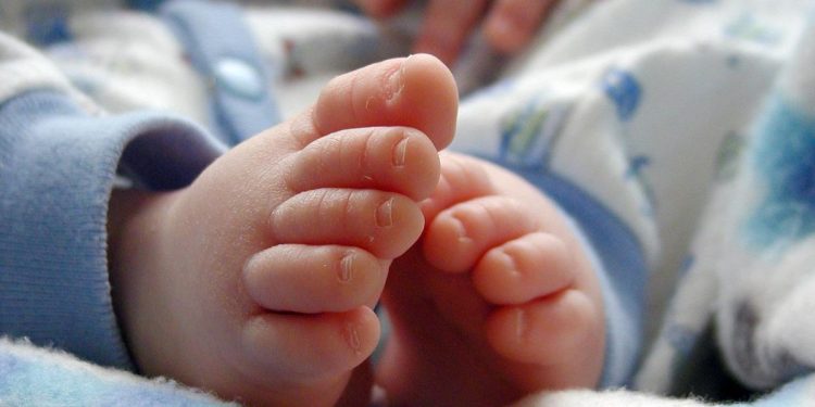 Evakuasi 11 Bayi dari Rumah Bidan di Sleman, 3 Dibawa ke Rumah Sakit