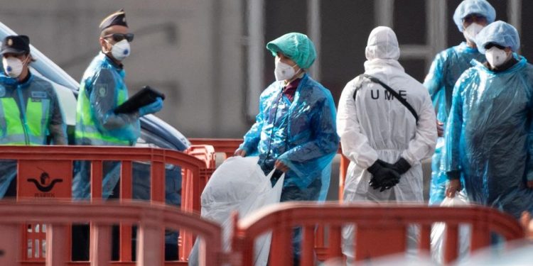 Dinkes DKI Temukan 4 Kasus Hantavirus di Jakarta, Warga Diminta Waspada