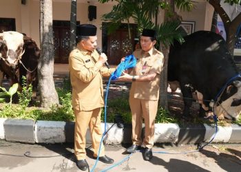 Serah 360 Hewan Kurban oleh Mendagri untuk Kemendagri dan BNPP