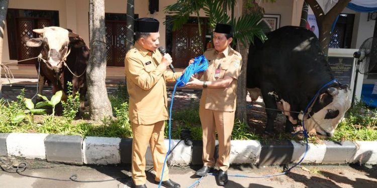 Serah 360 Hewan Kurban oleh Mendagri untuk Kemendagri dan BNPP