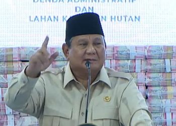 Banyak Investor Mengeluh Soal Perizinan, Prabowo Akan Bentuk Satgas Deregulasi