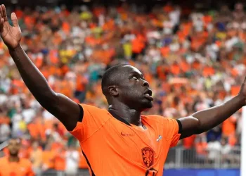 Hasil Belanda vs Swedia: Tim Oranye Kalahkan Viking Kuning