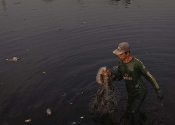 Sungai Ciujung Serang Diduga Tercemar Bau Menyengat dan Berwarna Hitam