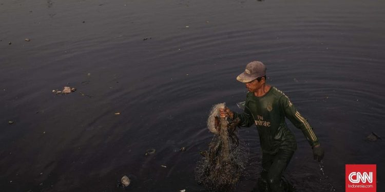 Sungai Ciujung Serang Diduga Tercemar Bau Menyengat dan Berwarna Hitam