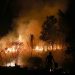 Hutan Seluas 182,54 Ha di Sumsel Terbakar pada Januari hingga April 2026