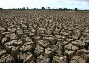 2.245 Warga di Jabar-Jateng Terdampak Kekeringan Menurut BNPB