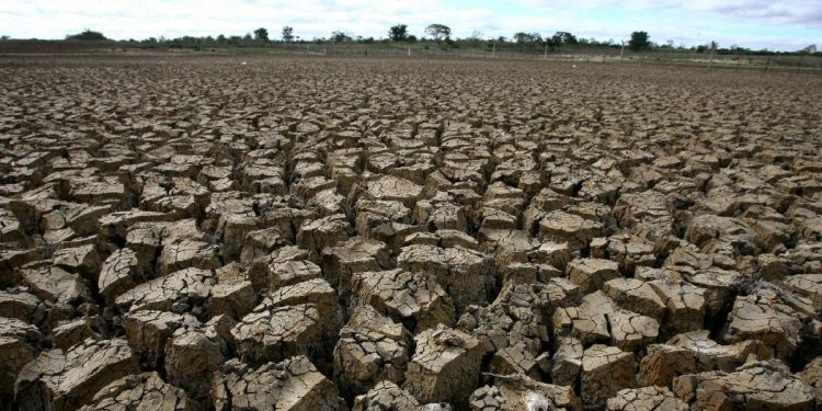2.245 Warga di Jabar-Jateng Terdampak Kekeringan Menurut BNPB