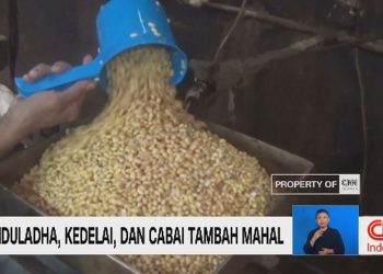 Usai Iduladha, Harga Kedelai dan Cabai Naik Tinggi