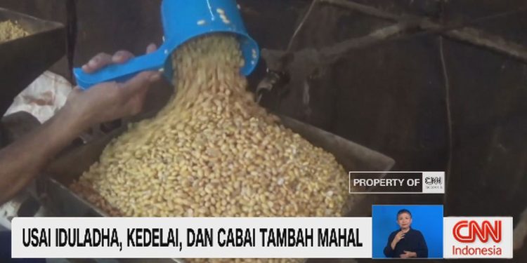 Usai Iduladha, Harga Kedelai dan Cabai Naik Tinggi
