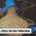 Usai Iduladha, Harga Kedelai dan Cabai Naik Tinggi