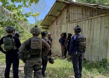 Penangkapan Pemasok Senjata KKB oleh Satgas Damai Cartenz di Papua Pegunungan