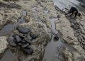 Kemarau Ekstrem, 140 Titik di Banten Alami Kekeringan