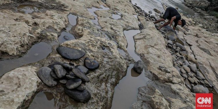 Kemarau Ekstrem, 140 Titik di Banten Alami Kekeringan