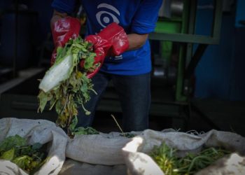 Lahan di Legok Banten Disiapkan Pemprov DKI untuk Pengolahan Sampah Organik