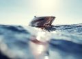 Speedboat Hilang di Gorontalo Ditemukan, 11 WNA Selamat