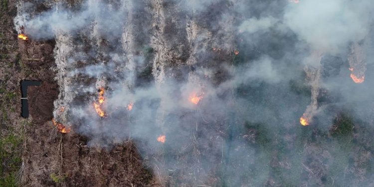 Catatan BPBD 306 Kasus Karhutla di Sumsel Hingga Juli 2026