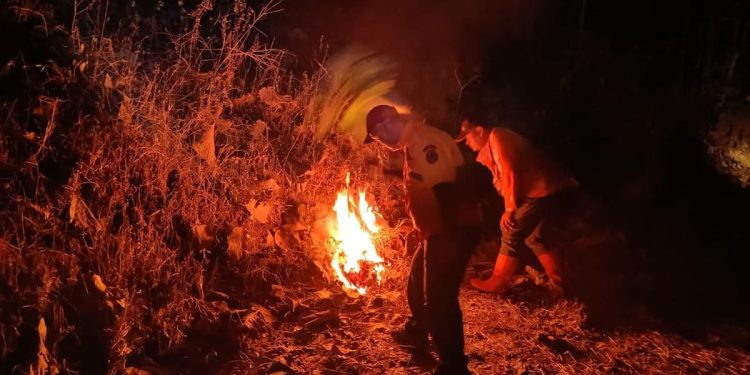 Kebakaran di Tahura R Soerjo Mojokerto