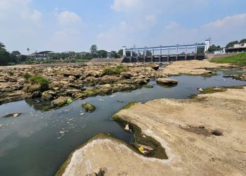 Sungai Cisadane Surut: Warga Menghadapi Kesulitan Air