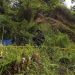 Penghentian Tambang Emas Ilegal di Hutan Produksi Terbatas Sulut, Dua Tersangka Ditangkap