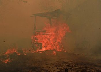 Catatan Kebakaran 936 Hektare Hutan dan Lahan di Kaltim oleh BPBD
