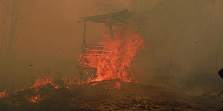 Catatan Kebakaran 936 Hektare Hutan dan Lahan di Kaltim oleh BPBD