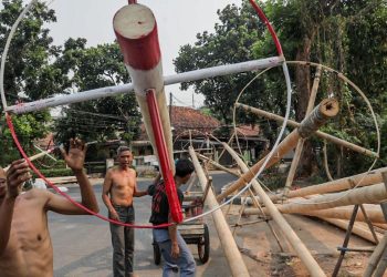 Pinang Dikejar Menjelang Perayaan Agustus