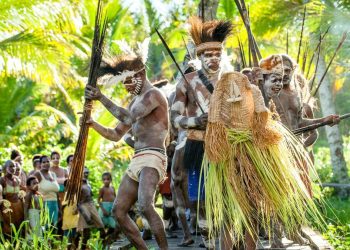 Kondisi Pengungsi di Puncak Papua Akibat Konflik DPD RI Terungkap