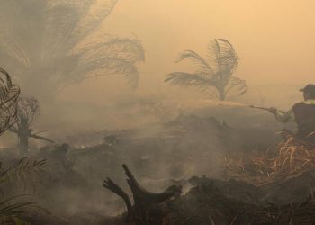 Hotspot Baru di Kalbar dan Kalteng Jarak Pandang 1-1,5 Km
