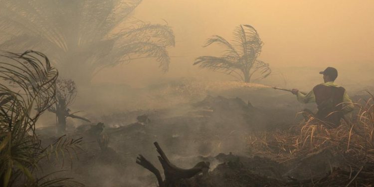 Hotspot Baru di Kalbar dan Kalteng Jarak Pandang 1-1,5 Km