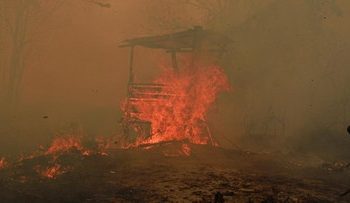 Catatan Kebakaran Hutan dan Lahan Seluas 936 Hektare di Kaltim