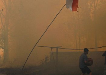Penanganan Karhutla Kalimantan Jadi Prioritas Nasional Menurut Komisi IV