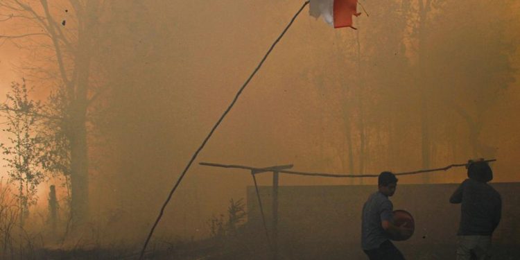 Penanganan Karhutla Kalimantan Jadi Prioritas Nasional Menurut Komisi IV
