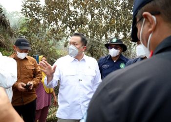 Wamen LH Dorong Sektor Swasta Bangun Sekat Kanal Atasi Karhutla di Kalimantan Barat