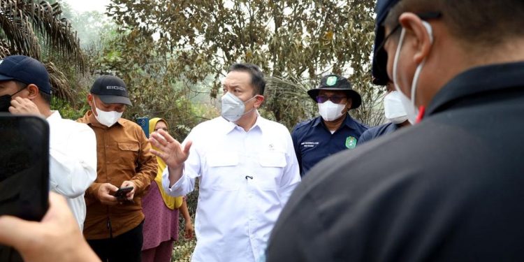 Wamen LH Dorong Sektor Swasta Bangun Sekat Kanal Atasi Karhutla di Kalimantan Barat