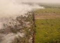 Hutan Lindung Gambut Londerang di Jambi Terbakar