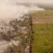Hutan Lindung Gambut Londerang di Jambi Terbakar