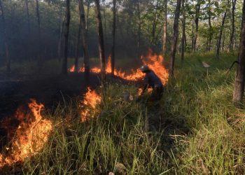 Karhutla Bangka Tengah Mencapai 118 Hektare di Juli-Agustus 2026