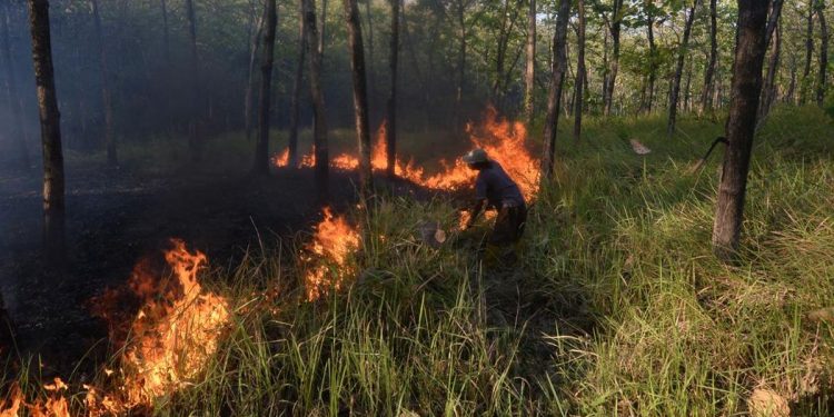 Karhutla Bangka Tengah Mencapai 118 Hektare di Juli-Agustus 2026