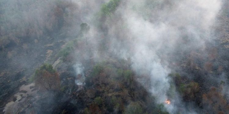 Karhutla Sumsel Mencapai 1.926 Ha, Tiga Kali Luas Kecamatan Menteng Jakarta