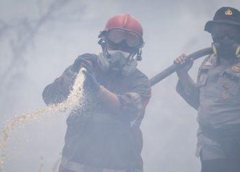 17 Tersangka Ditahan dalam Kasus Kebakaran Hutan di Sumsel Menurut Polda