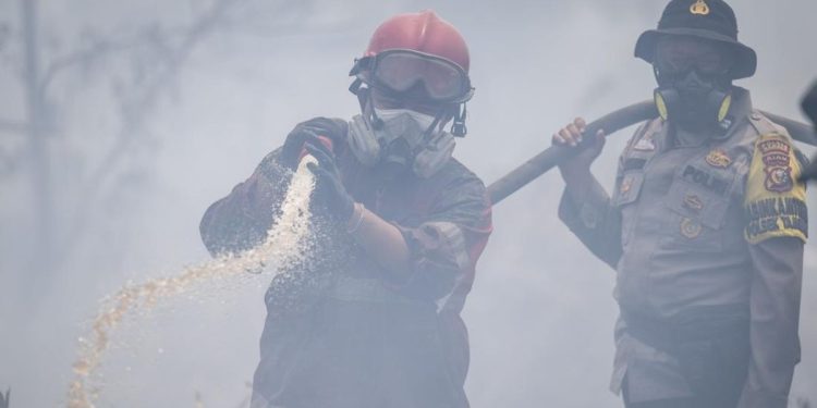 17 Tersangka Ditahan dalam Kasus Kebakaran Hutan di Sumsel Menurut Polda