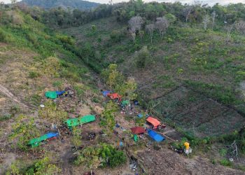 BMKG Catat 4258 Gempa Susulan di NTT Berpotensi Terjadi Hingga 4 Minggu