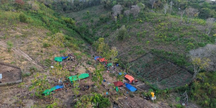 BMKG Catat 4258 Gempa Susulan di NTT Berpotensi Terjadi Hingga 4 Minggu