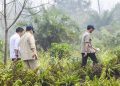 Prabowo Tinjau Langsung Penanganan Karhutla di Riau Sumatra