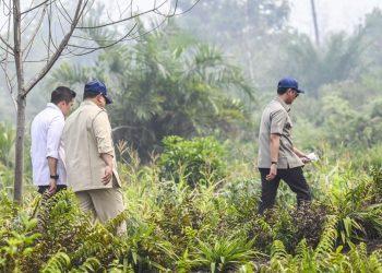 Prabowo Tinjau Langsung Penanganan Karhutla di Riau Sumatra