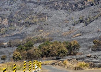 Savana Gunung Bromo Terbakar Hingga Menghitam