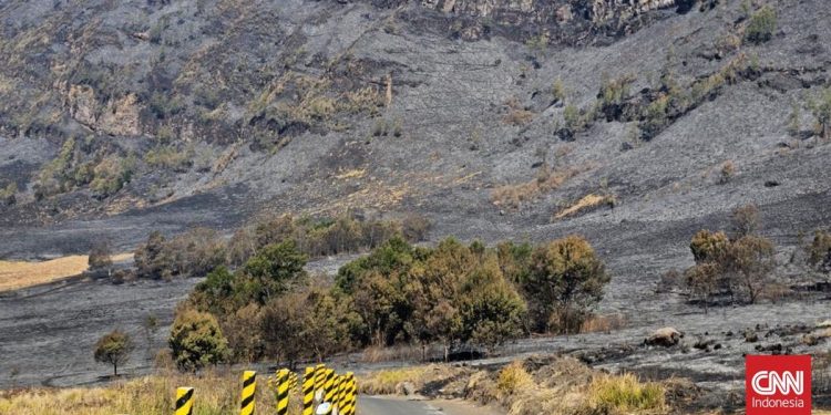 Savana Gunung Bromo Terbakar Hingga Menghitam