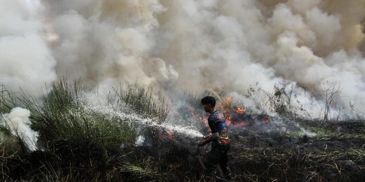 Kesaksian Aktivis Mengenai Cikal Karhutla Diduga Akibat Pembukaan Lahan