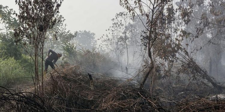 Kebakaran Lahan di Kulon Progo, Api Terjadi di Bendungan Kamijoro