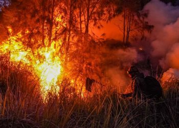 Wagub Jatim Sebut Dugaan Awal Kebakaran Bromo Akibat Kelalaian Manusia